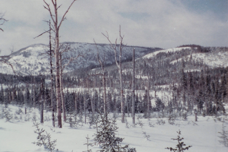 09.jpg - 09 - Ce à quoi ressemblait le secteur Launière à cette époque.